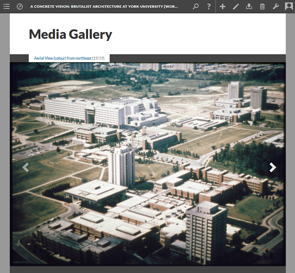 Media Gallery